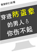 穿进防盗章的男人你伤不起txt电子书下载