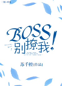 Boss别撩我！txt电子书下载