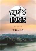 回档1995txt电子书下载