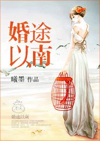 婚途以南小说