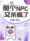 那个NPC又杀疯了小说