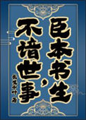 臣本书生，不谙世事……小说