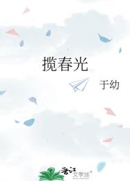 揽春光小说